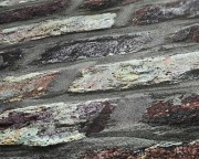 8990909212cf3a0b55ca96a973766d9d