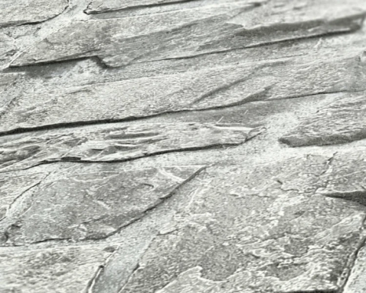 113e50b46ab7f664e5986e7412befa7e