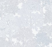 5db10abc8c6ea713c4831d5f5ff54a6e