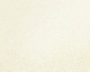 4029353e5d7a1c36a9848aa0794e9acf