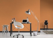 fe1051567d1aca00214257dae492479d