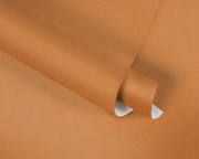 1c238382e57898a259dd60e65dc3f788