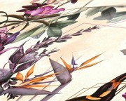 8247e295f4de51fe92d8157626ababf0