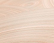 151178d41d835a05b392453888335991