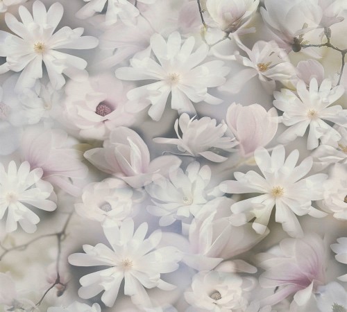 6d68459e370c0e07d7a1b8d3fcac380b