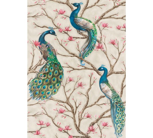 8f705ed417c50b7b241b7b9e3fee56ef