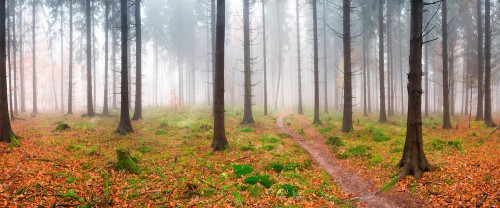 5c65c0c70fbf33a6b5adc55b9b04e6af