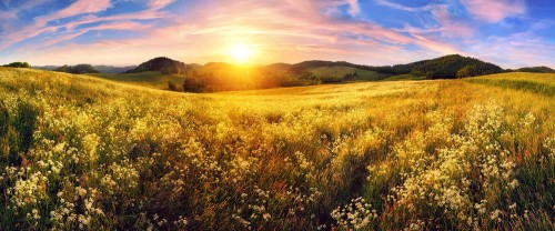 64aab34113e8d6b0bcc1e01e1770fcea