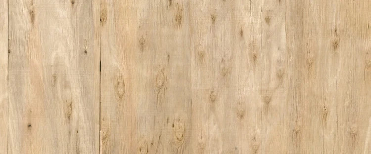 75d4336307719a86923209e2f17f5dcc