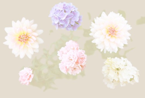 073bb6fcc4864ac1c13d64c419bd65c9