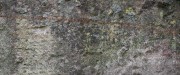 8f26eca63dd65472c27dbcc33ac40853