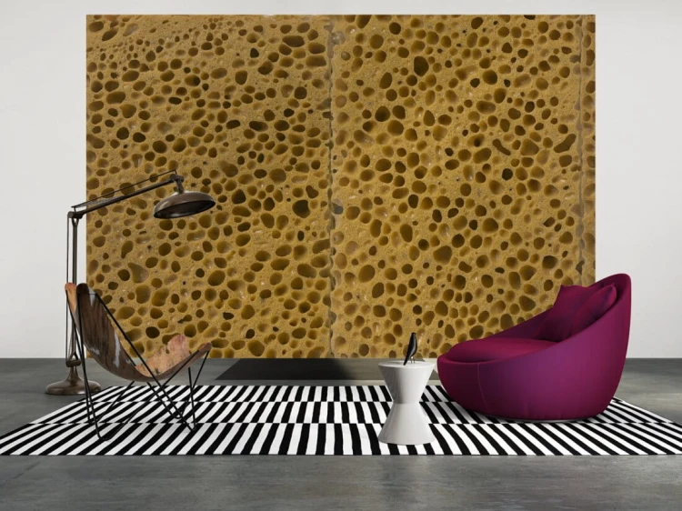 f64cac9f68fe928a1b5887d48ea1e0c8