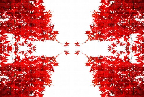 fe30da08895b5e236ed26c5094b0cda6