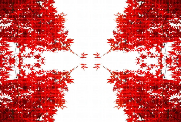 fe30da08895b5e236ed26c5094b0cda6