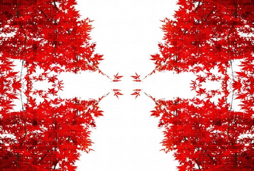 03aa45781eb219448066067d5f71c175