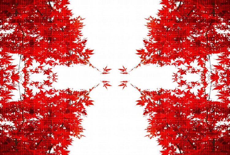3dc6b4e7ae437836d23a940f78147963