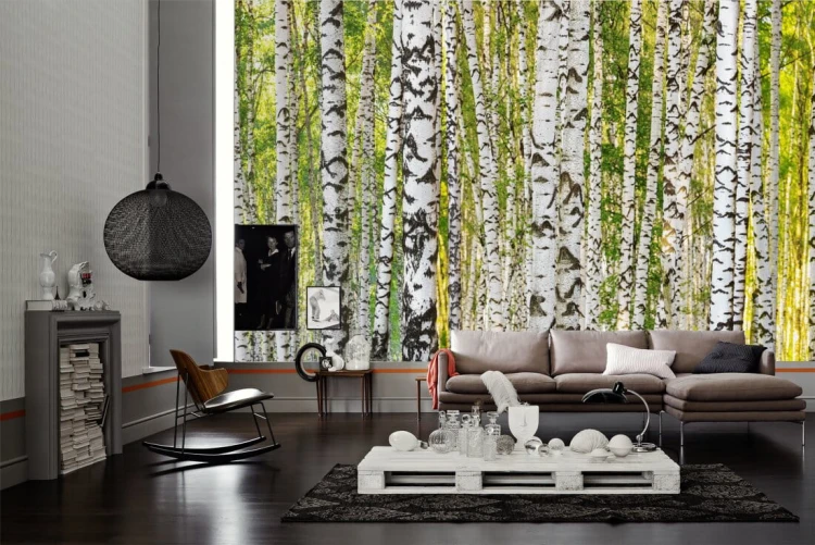 7450f4ee035650e476ccd239cb73cbaa