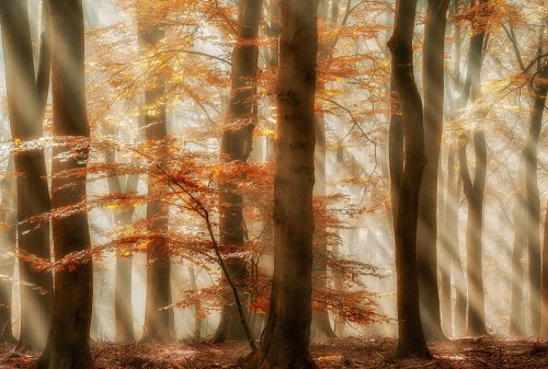 7afcdd6fb4ac09d0998fd3a9e7c4b9fe
