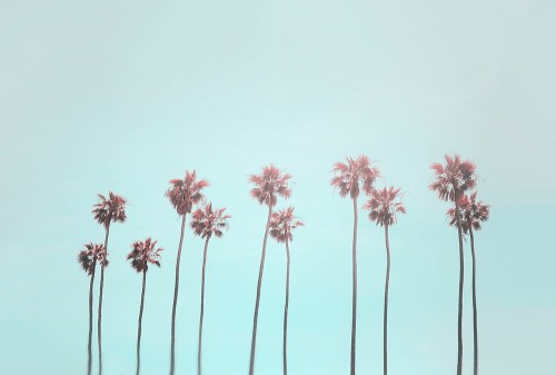 57ce98a9a3b3aa0ee8b1166127e8fb3d