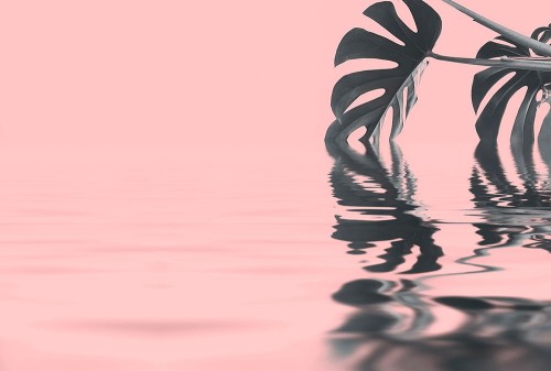 fa5358d564b97b14adcc6d3a0af1bf12