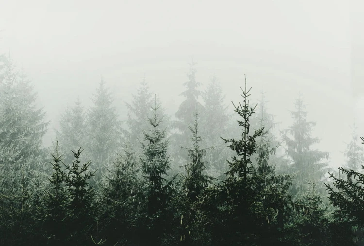 e163fe5098621c27244a95aaaa8af58e