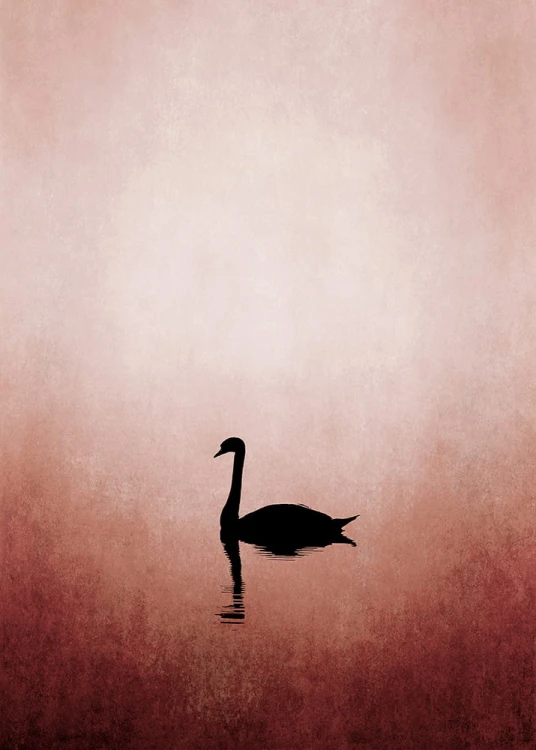 0e4d636b84bc00ffbf7c8a2b2d03ec21