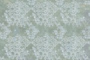 ba5dee7479bf0576fce82f942722a770