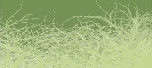 04953e4af659050703343eb53cc2055d