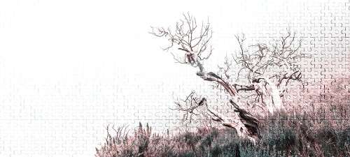 31679e0d6dc232eb002d1ca0f69120f4