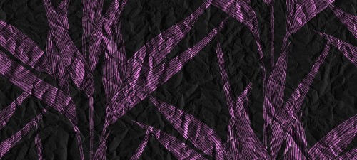 b8044a43ccbce75bab414d6da64abc9c