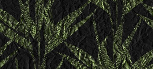 850c3a0e5aa7127cdef2834a4ce3341e