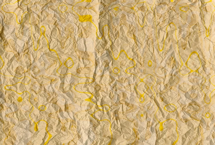 ae04543ec4fa5e53e4470532fabe0502