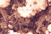 c1679bf50a9a2804c6ba183b20ad070a
