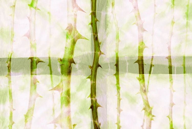 5a188e74aeadd3d472e78eda597d02b0