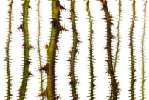 3d98d630e45d7b80609cc98fcfec8a21