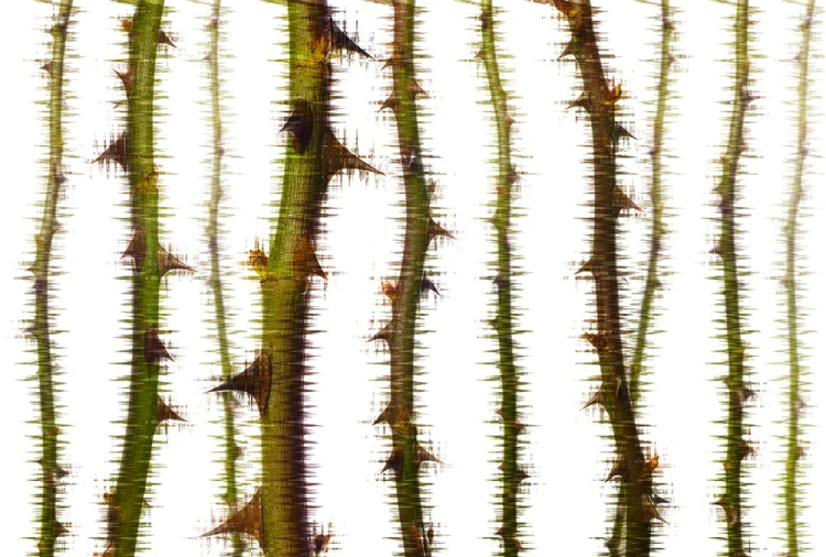 aa4f4c559ab14e2b2935dba43008ec28