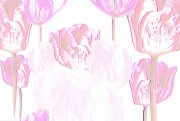 e02aa57a83968fa9c2c06a2a9eb6ac68