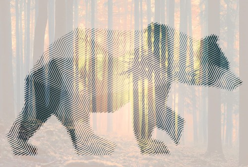 d45691bfdc4eaec75552d6f144efdd27