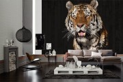 d23cf5802cbf9975434c121bfcf7c7ff