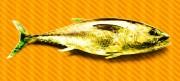7db9ed4ada905f3674d119993568ed0d