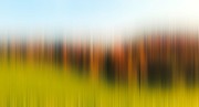 34fadd3b91682b3f8c484dc0be4ef517