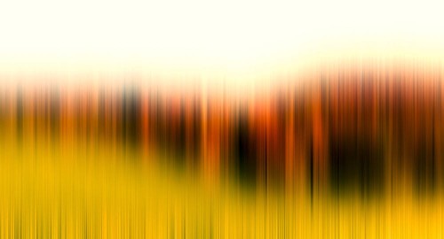 073003dc0904227d594deaaf97a7fdf0