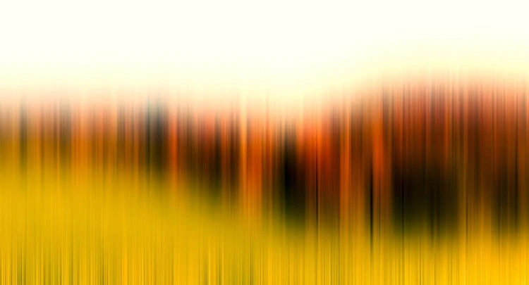 073003dc0904227d594deaaf97a7fdf0