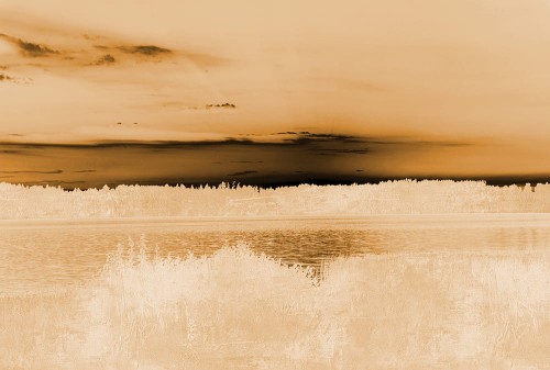 bee9b0eb46cfd94d0f0b73e2ef4079dc