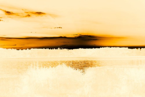 ff919a539d80b5f73d13fedfdb697264