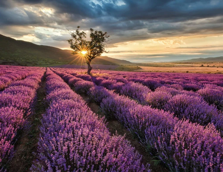 873410fbbc32bb867043162c079c5328