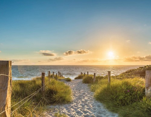 79d947c927e3e73d1839b5461dfe0288