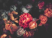 d9eb1e1aee03084a57c5f55c4c6cb9fe
