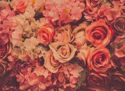 21e55d8dfbe908ef89f8fdba24e6011d