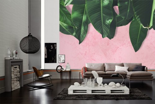 87f99a4c50c6b2d918ec8bd3a04e5169